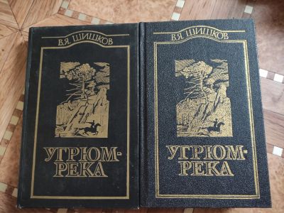 Лот: 20651477. Фото: 1. Шишков Угрюм-река, двухтомник. Художественная