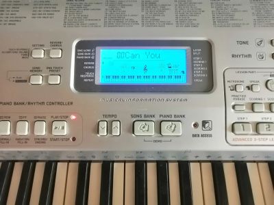 Лот: 19641040. Фото: 1. Синтезатор Casio CTK-800 с подставкой. Клавишные