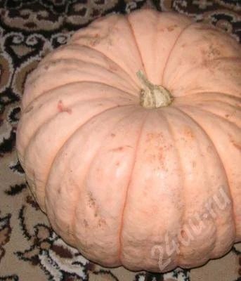 Лот: 681422. Фото: 1. Тыква огородная 10кг. Овощи, фрукты, зелень