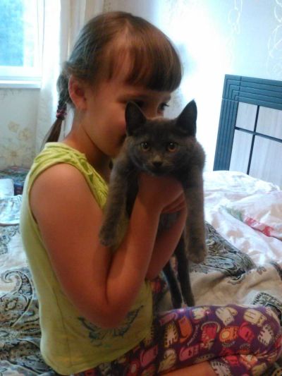 Лот: 10108930. Фото: 1. Весёлый котёнок в хорошие руки. Кошки, котята