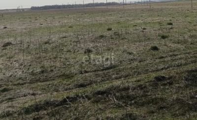 Лот: 25296432. Фото: 1. участок , СНТ Дружба СНТ Дружба... Земельные участки
