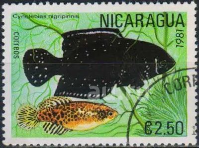 Лот: 25645234. Фото: 1. 1981. Никарагуа. Тропическая рыба... Марки