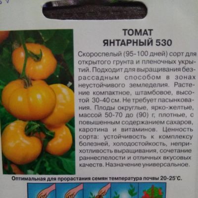 Лот: 11322903. Фото: 1. Рассада томата Янтарный. Овощи