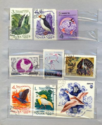 Лот: 10989172. Фото: 1. Марки.СССР. 1966,1976,1975.Гнездо... Марки