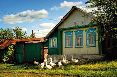 Лот: 8565575. Фото: 1. сниму дом с постройками. Дома, дачи, коттеджи