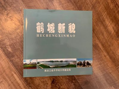 Лот: 17164125. Фото: 1. Новая книга о Китае. Город Шенжень... Другое (литература, книги)