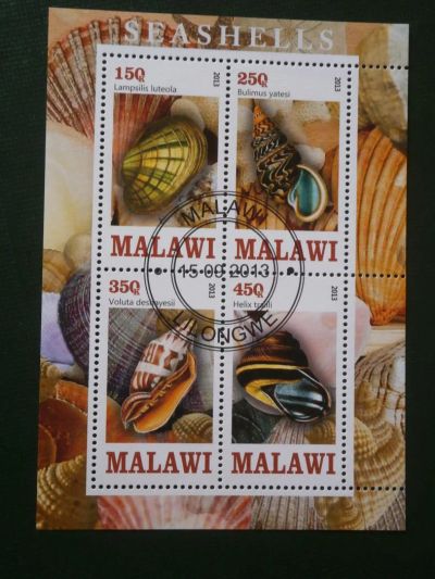 Лот: 9909551. Фото: 1. Марки, Морские раковины.Малави... Марки