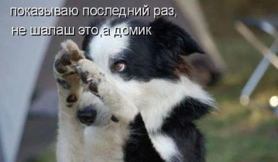 Лот: 3793576. Фото: 1. сдам секционку. Квартиры, студии