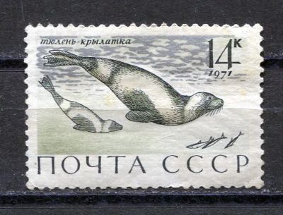 Лот: 15765496. Фото: 1. 1971 СССР Тюлени Животные Фауна... Марки