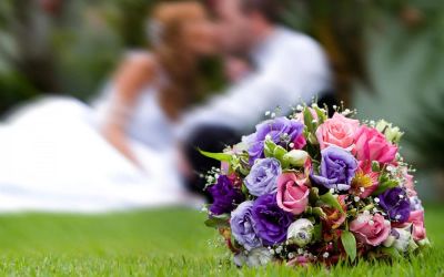 Лот: 7263537. Фото: 1. Сборный букет. Цветы на Щорса... Свежие цветы