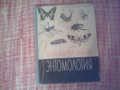 Лот: 10389539. Фото: 1. занимательная энтомология детгиз... Книги
