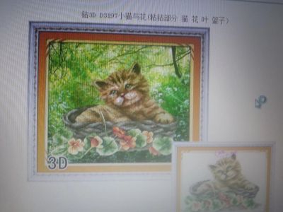 Лот: 5296733. Фото: 1. Алмазная вышивка (Котик). Холсты чистые