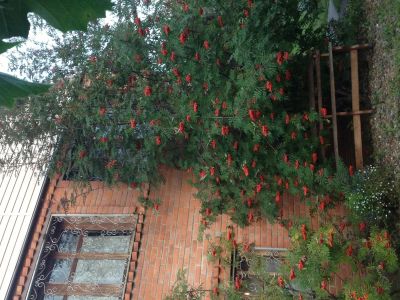 Лот: 4006713. Фото: 1. Продам дом-дача. Дачи