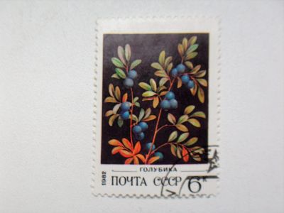 Лот: 12742030. Фото: 1. Марка 6к 1982 год СССР Голубика. Марки