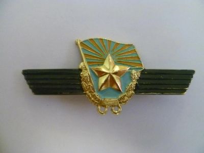 Лот: 3283769. Фото: 1. сверхсрочник ВВС. Другое (значки, медали, жетоны)