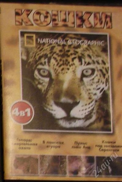 Лот: 2299773. Фото: 1. кошки 4 в 1 national geograthic. Видеозаписи, фильмы