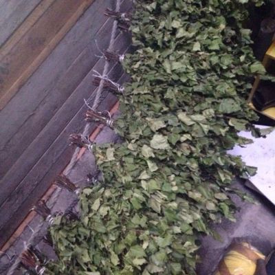 Лот: 8940597. Фото: 1. Веники берёзовые (продажа только... Банные принадлежности
