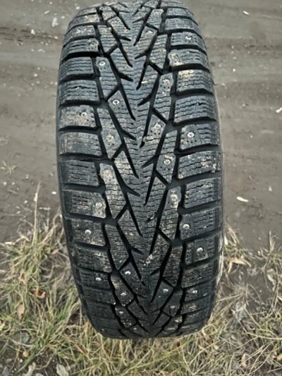 Лот: 19548450. Фото: 1. Шина Nokian Tyres Nordman 7 205... Шины