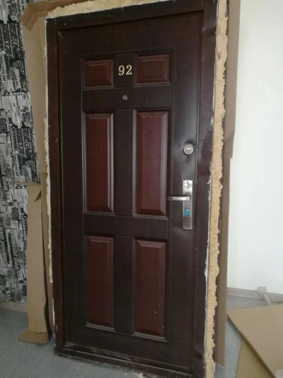 Лот: 10054540. Фото: 1. Дверь входная. Двери входные