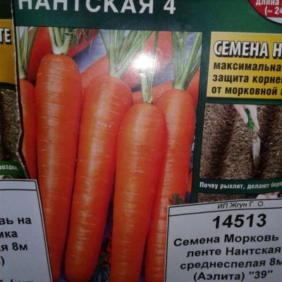 Лот: 9122142. Фото: 1. Семена / овощи / Морковь / на... Овощи