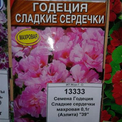 Лот: 9118700. Фото: 1. Семена / цветы / Годеция / Сладкие... Садовые цветы