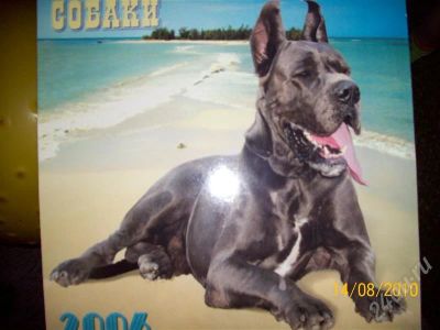 Лот: 467835. Фото: 1. календарь собачки. Разное