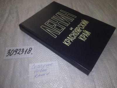 Лот: 24609850. Фото: 1. oz(3092318)Малолеткова Н., В... Другое (общественные и гуманитарные науки)