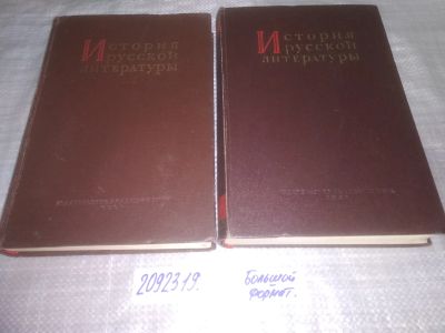 Лот: 24123319. Фото: 1. oz меш.(2092319) История русской... История