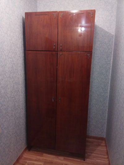 Лот: 13003978. Фото: 1. Шкаф лакированный на дачу, в гараж... Шкафы, шкафы-купе