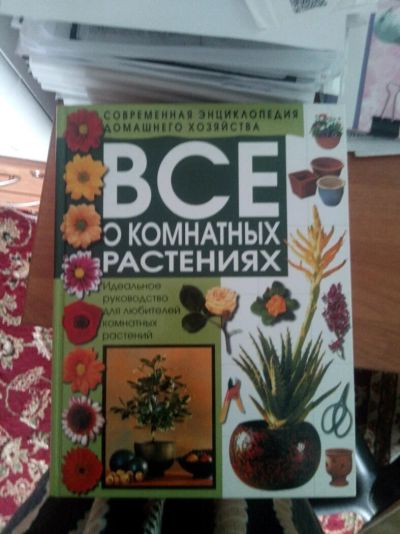 Лот: 11501883. Фото: 1. Книга о комнатных растениях. Другое (комнатные растения и уход)