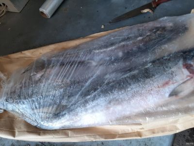 Лот: 14321765. Фото: 1. Рыба кижуч. Икра, рыба, морепродукты