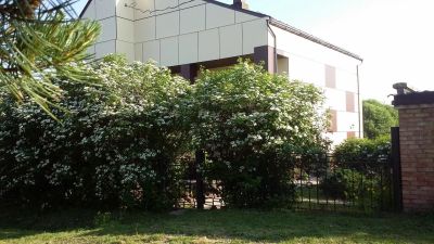 Лот: 13787929. Фото: 1. Продается дом 270 кв.м. 17 сот... Дома