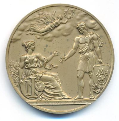 Лот: 25800385. Фото: 1. Россия Медаль 2006 МНО - член... Сувенирные