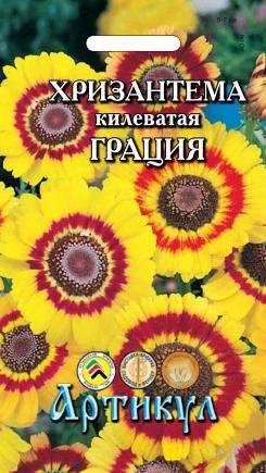 Лот: 11025570. Фото: 1. Хризантема килеватая Грация 0... Садовые цветы
