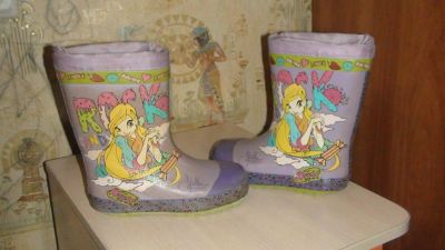 Лот: 9750093. Фото: 1. Резиновые сапоги (с символикой... Сапоги
