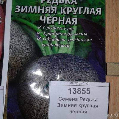 Лот: 9122549. Фото: 1. Семена / овощи / Редька / Зимняя... Овощи