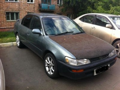 Лот: 4871785. Фото: 1. Toyota Corolla. Автомобили