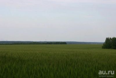 Лот: 9524712. Фото: 1. Земельный участок. Земельные участки