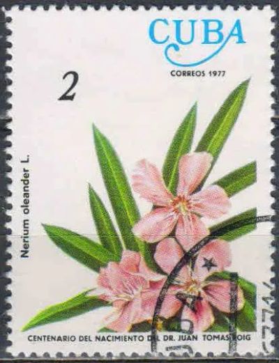 Лот: 25052456. Фото: 1. 1977. Куба. 100 лет со дня рождения... Марки