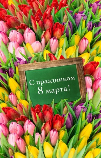 Лот: 17295486. Фото: 1. Тюльпаны к 8 марта. Подарки на 8 марта