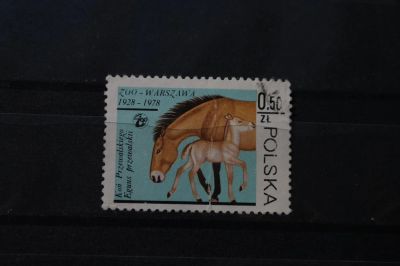 Лот: 3932744. Фото: 1. марка 62 Польша 1978 г фауна лошади. Марки