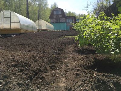 Лот: 11647579. Фото: 1. Продам дачу в городе с большим... Дачи