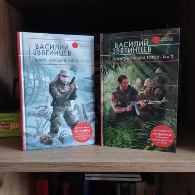 Лот: 23284415. Фото: 1. Книги Звягинцев Василий. Ловите... Художественная