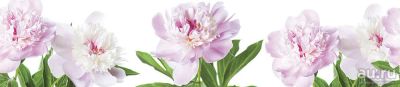 Лот: 13832916. Фото: 1. SP 142 Стеновые дизайн панели... Фартуки для кухни
