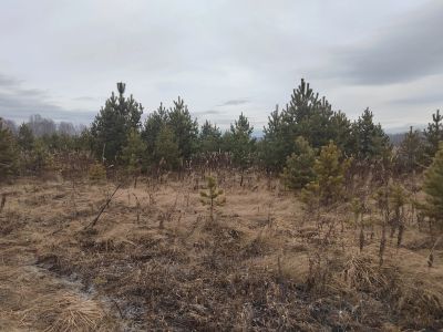 Лот: 24688302. Фото: 1. Земельный участок. Земельные участки