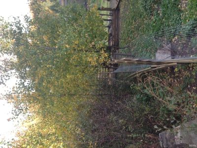 Лот: 14651302. Фото: 1. Земельный участок. Земельные участки