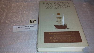 Лот: 7933083. Фото: 1. Белеет парус одинокий. Северная... Художественная для детей