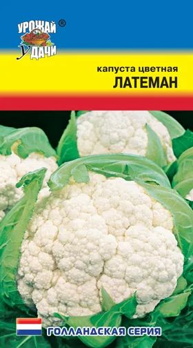 Лот: 11017139. Фото: 1. Семена капусты цветной "Латеман... Овощи