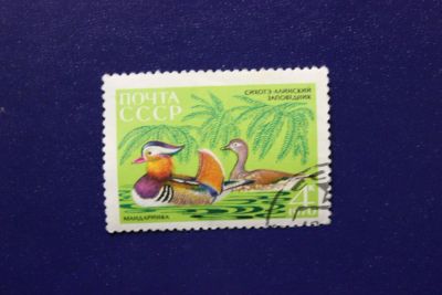 Лот: 6856057. Фото: 1. Почтовая марка №4102 в коллекцию. Марки