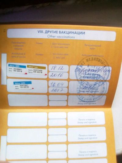 Лот: 10883205. Фото: 1. Продам собаку. Собаки, щенки